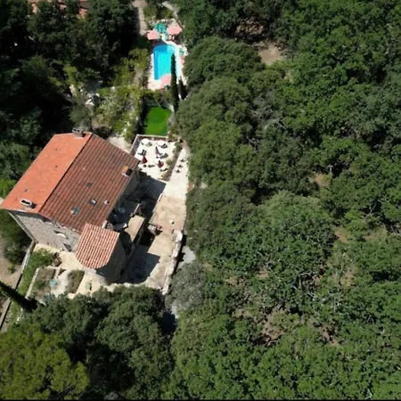 La Duchesse - Spa-jacuzzi - Massage- Sauna - 4 Saisons - Piscine Chauffee Toute L'annee - 800m Centre 4*